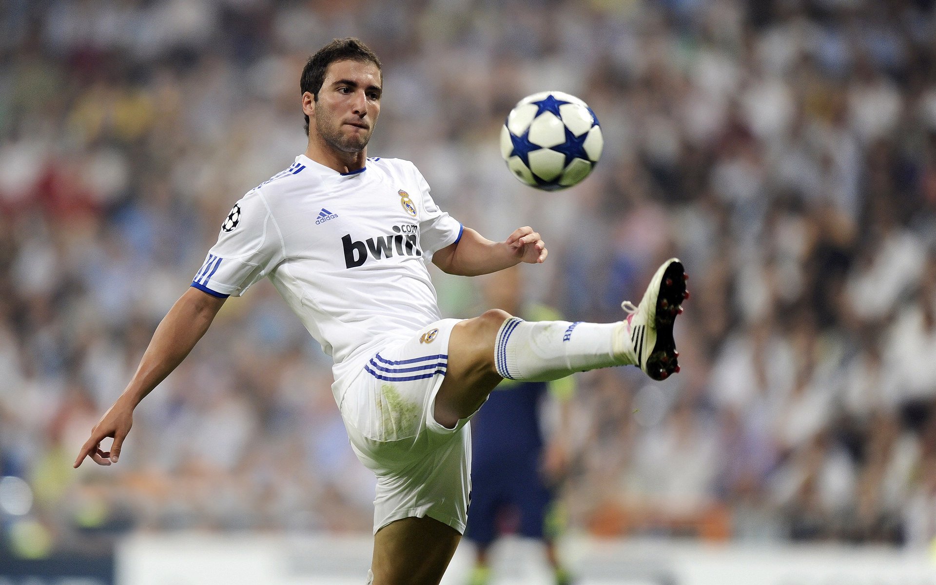 华体会app-德甲精彩，球迷期待未来比赛，德甲参赛球队