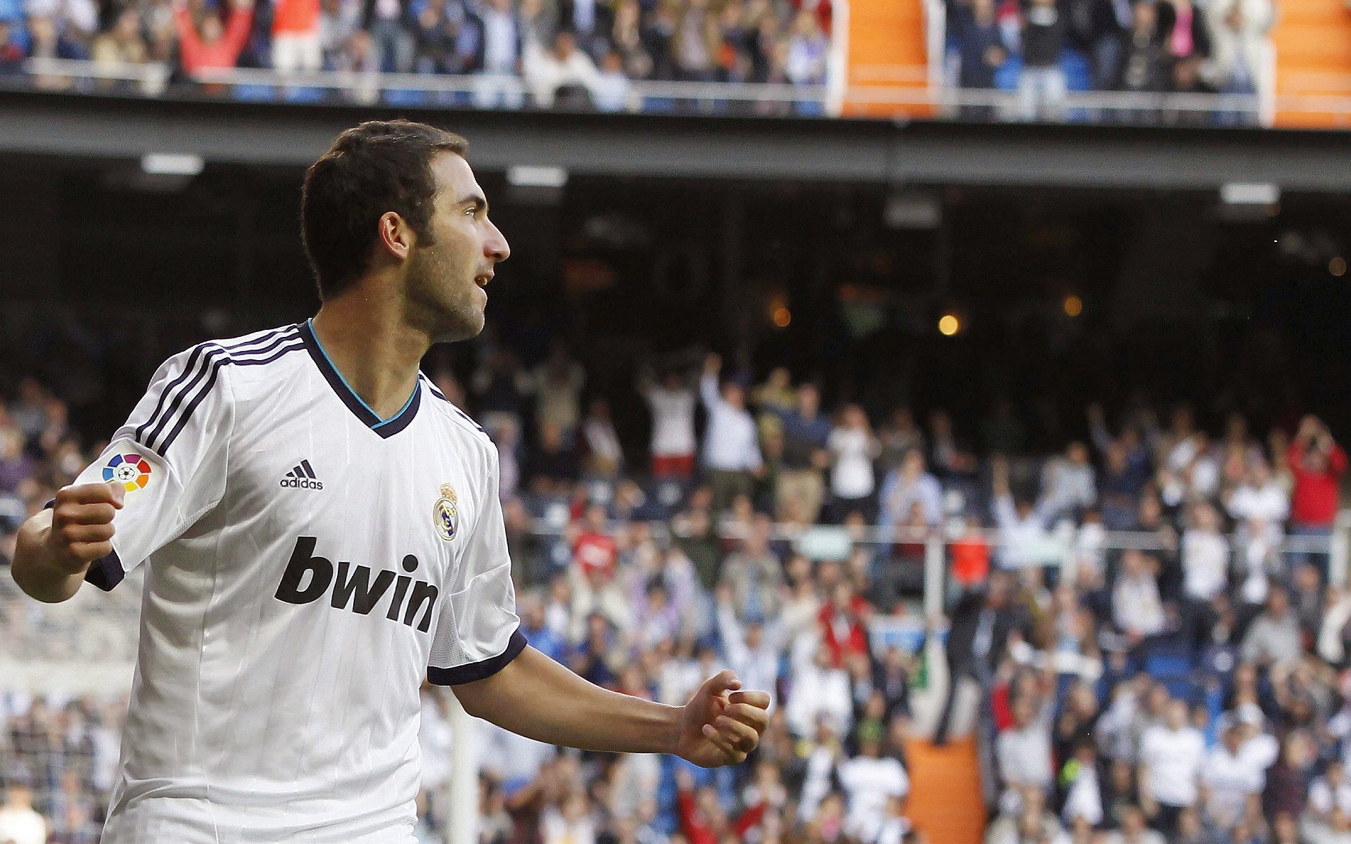 德甲精彩，球迷期待未来比赛，德甲参赛球队